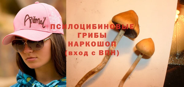 PSILOCYBIN Белоозёрский