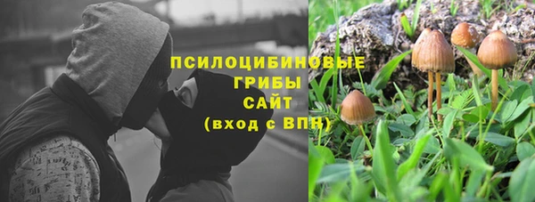 PSILOCYBIN Белоозёрский